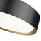 Z-Lite Kawan 1 Light Flush Mount, 12in. W x 5.25in. L, Matte Black and Modern Gold 1014F12-MB-MGLD-LED - alternate 3